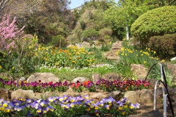 Every flower is carefully maintained in the nature park