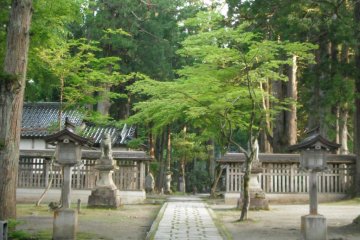 Through the Koma-inu