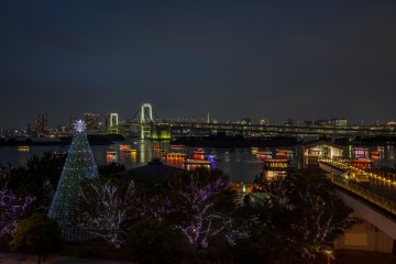 <p>Les arbres illumin&eacute;s, les bateaux de plaisance Yakatabune et le Rainbow Bridge</p>
