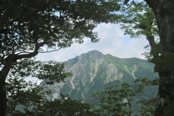 Sub-puncak dari Daisen merupakan pemandangan yang sempurna dengan pohon- pohon