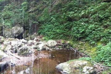 Looking out from within the waterfall