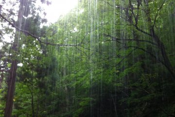 Beams of light shining in through the trickle of water