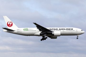 JAL flies from Osaka Itami to Narita