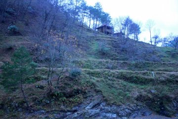 <p>Two of the bungalows from the lobby deck<br />
&nbsp;</p>
