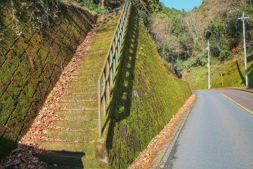 My hiking trails also lead over a street - and up the stairs into the woods again
