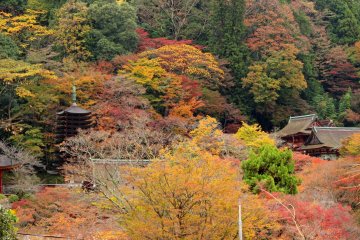 <p>Tanzan Shrine from the overlook</p>
