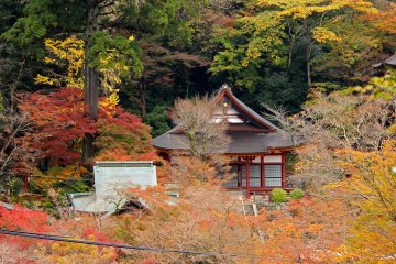 <p>The Kanden Hall from the overlook</p>
