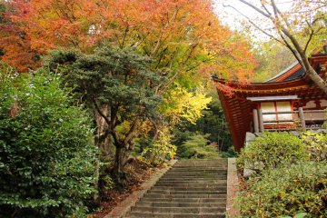 <p>The stairs to the Kanden Hall and the Hiei Shrine Altars</p>
