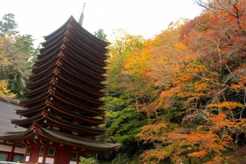 <p>The 13-story pagoda and the autumn foliage</p>
