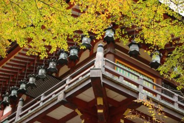 <p>The lanterns of the prayer hall and the leaves fit together like a jigsaw puzzle</p>
