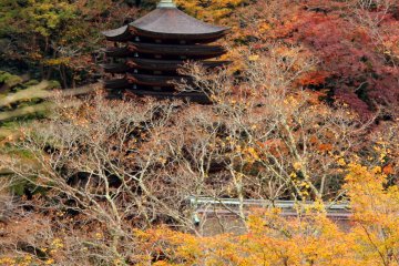<p>The 13-story pagoda from the overlook</p>
