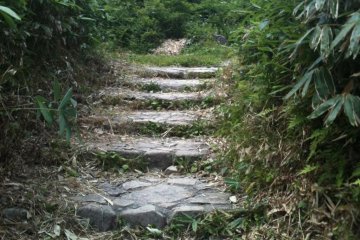 The hiking path begins at the lodge