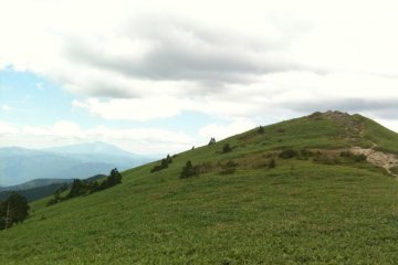 Fujimidai peak only a few hundred meters away...yet I failed to get there