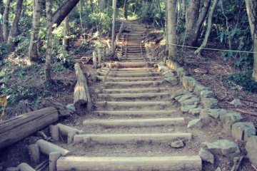 If you see stairs, that's a good sign! You're almost to the top.