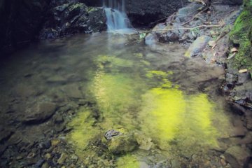 Small pools gather on the side of the trail.
