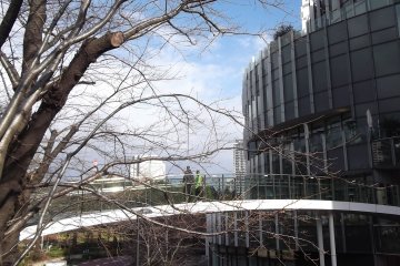 <p>A bridge from the Galleria to the garden</p>
