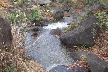 <p>The stream in the Chinese garden</p>
