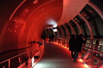 <p>The Tembo Galleria is lit up for the occasion</p>
