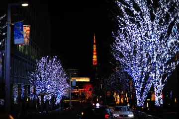 <p>Pemandangan Tokyo Tower dari Keyakizaka</p>
