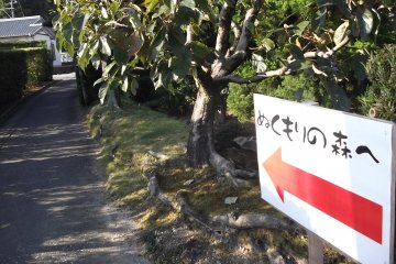 <p>These signs guide you up the path to the village</p>
