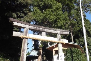 <p>One of the entrance gates</p>
