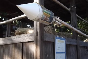 <p>A giant firework</p>

