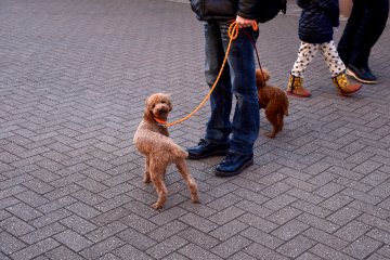<p>Here are other cuties, too!</p>
