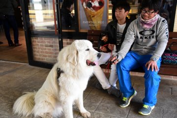 <p>He looks cute when sitting silently, but he is so scary once he starts moving around!</p>
