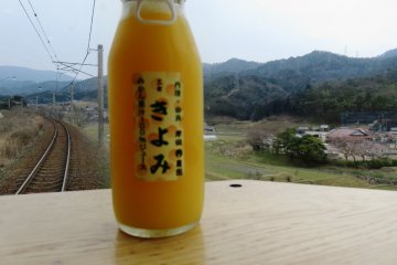 Try local fruits like this kiyomi citrus drink on the way to Amanohashidate.