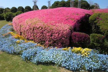 Flower Path 3