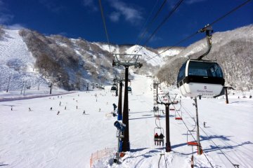 <p>A view from the ski lift.</p>
