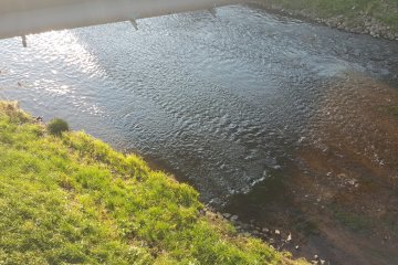 <p>Rivi&egrave;re &agrave; proximit&eacute; du sanctuaire</p>
