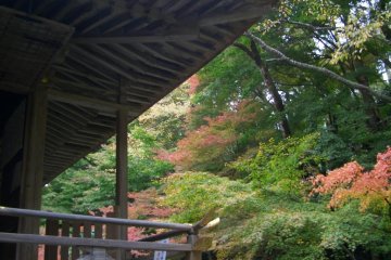 Explore the Gardens of  Ohara Village in Autumn