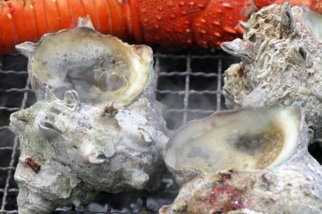 <p>Yumm... sangat menggoda</p>
