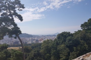 <p>More of the city</p>
