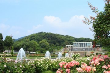 View rest house from royalty and titled nobility's roses garden