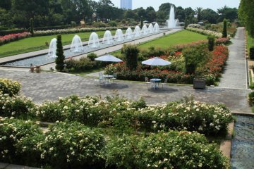 Roses garden and canal