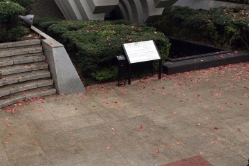 <p>Both bushes and concrete.</p>
