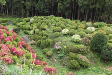 <p>Scenery at Yamanaka-jo Castle Park</p>
