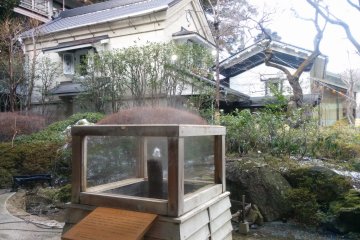 <p>Water gushing from beneath the earth in the inner garden. In the background is the wine bar warehouse Kura Kura&nbsp;</p>
