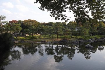 <p>Pepohonan melapisi di atas sini di sepanjang aliran air.</p>
