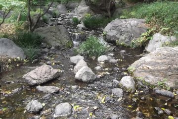 <p>Aliran sungai ini mengalir turun ke kolam.</p>

