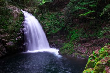 Akame 48 sebenarnya memiliki lebih dari 48 air terjun, namun 48 merupakan angka yang berarti "banyak"
