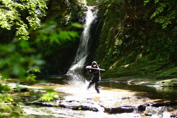 Air terjun menciptakan latar belakang yang menakjubkan