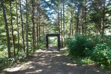 statue hidden in the forest