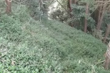 <p>I found the rusted remains of what I guess was a chairlift</p>
