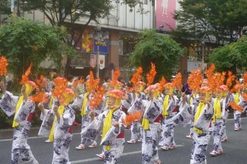 Colorful attractions in the Nagoya Festival