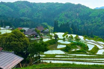 Visit a traditional Japanese household and learn how to make a country-style lunch