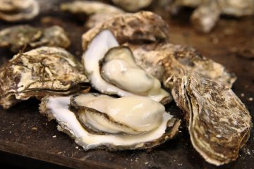 Matsushima Oyster & Sake Festival 2016