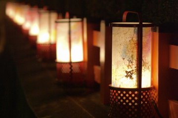 Une beauté sublime précédant l'éclosion des fleurs de sakura